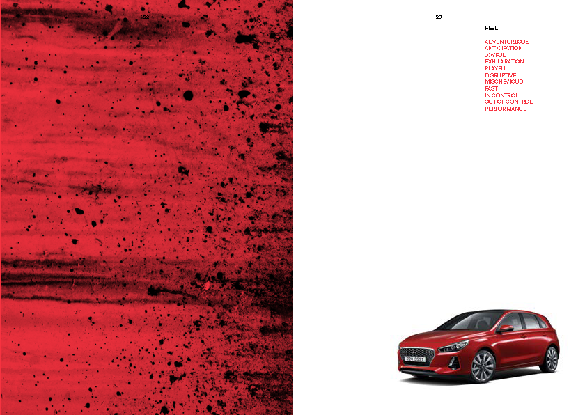 Hyundai 'N' Brand Book