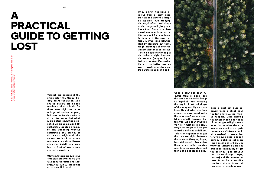 Hyundai 'N' Brand Book