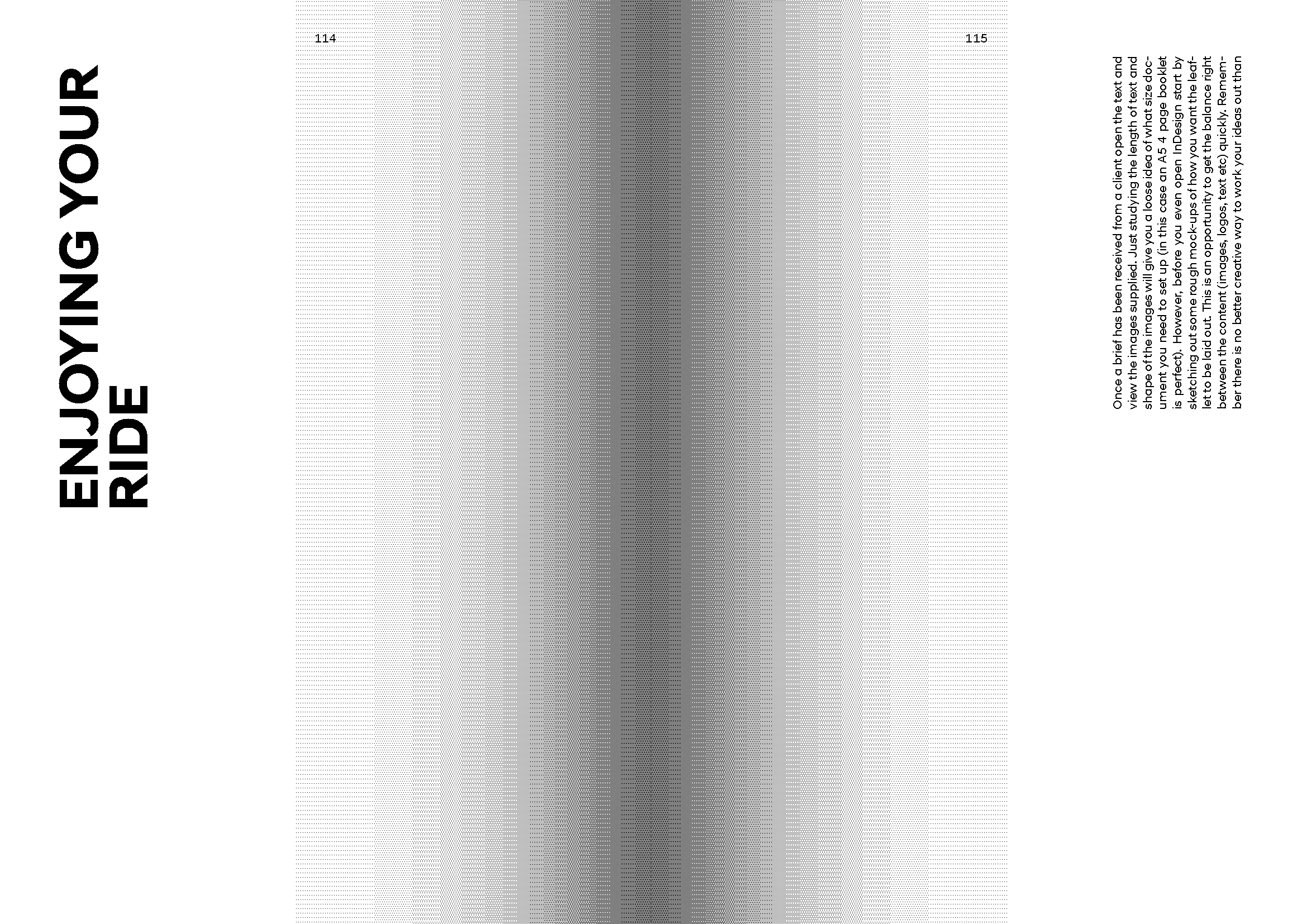 Hyundai 'N' Brand Book