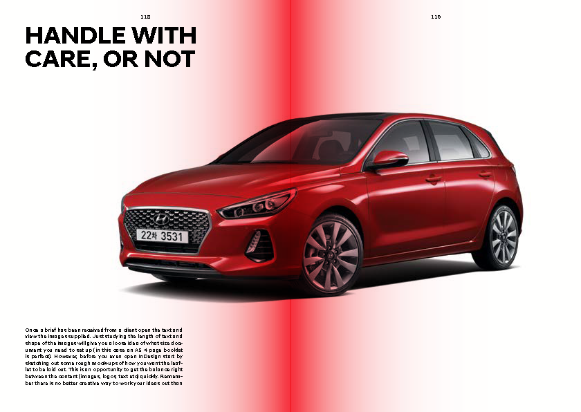 Hyundai 'N' Brand Book