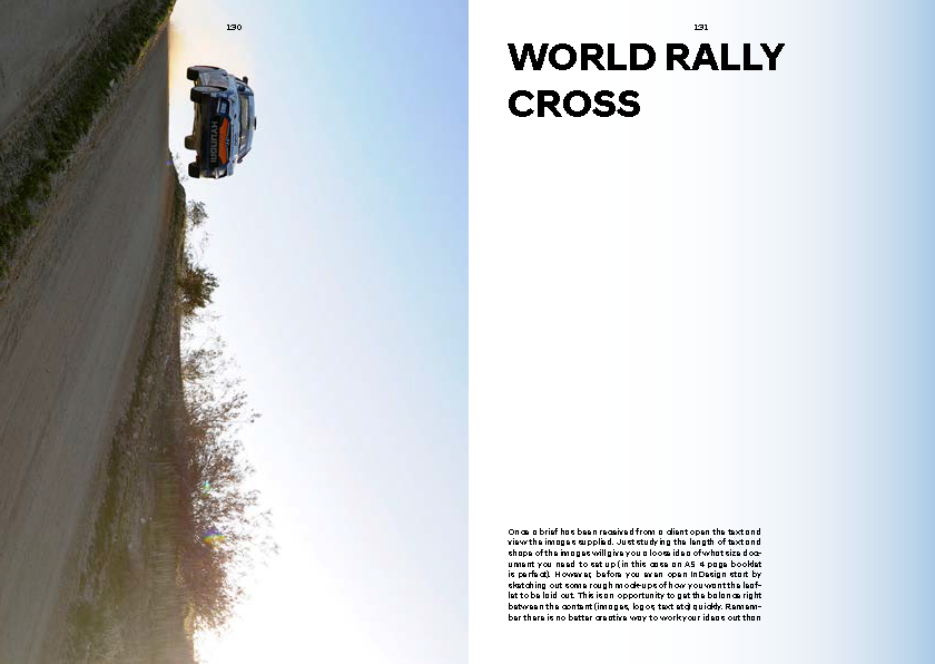 Hyundai 'N' Brand Book