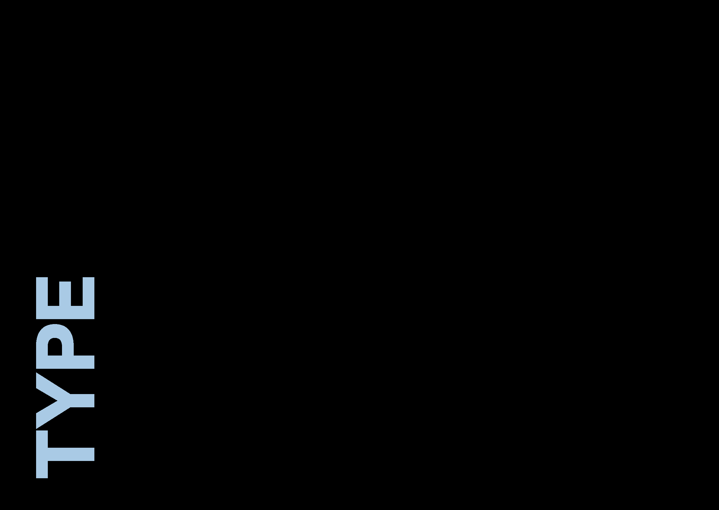 Hyundai 'N' Brand Book