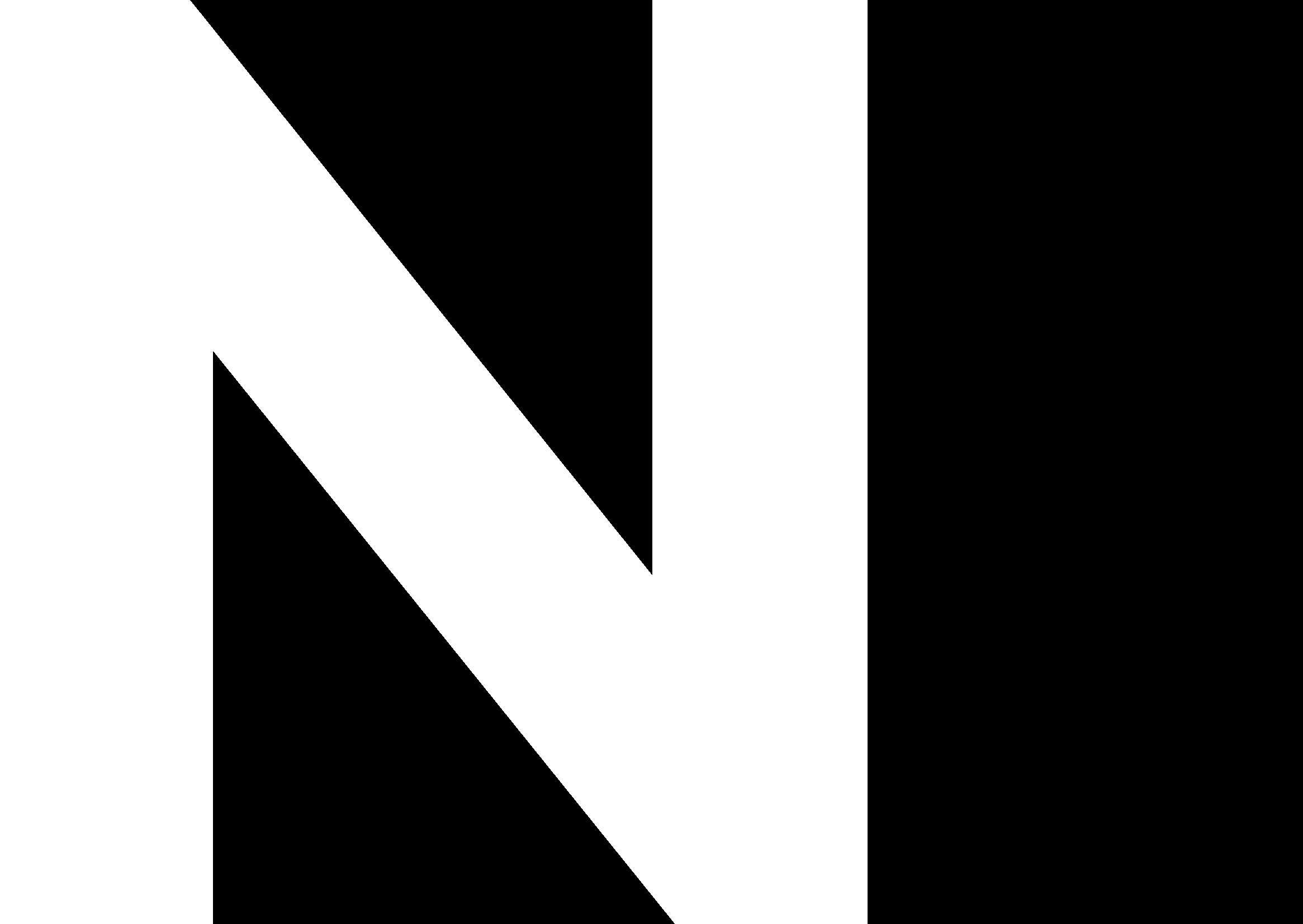 Hyundai 'N' Brand Book