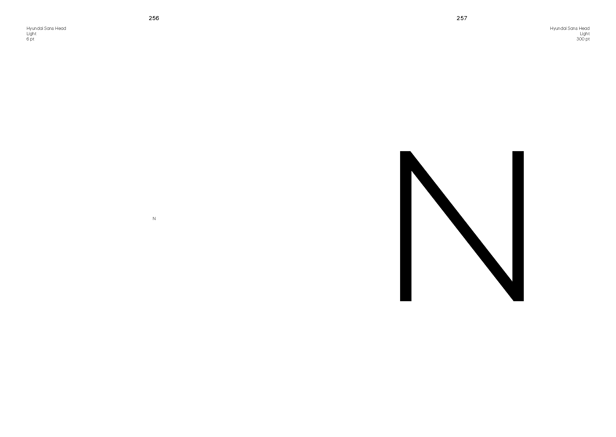 Hyundai 'N' Brand Book