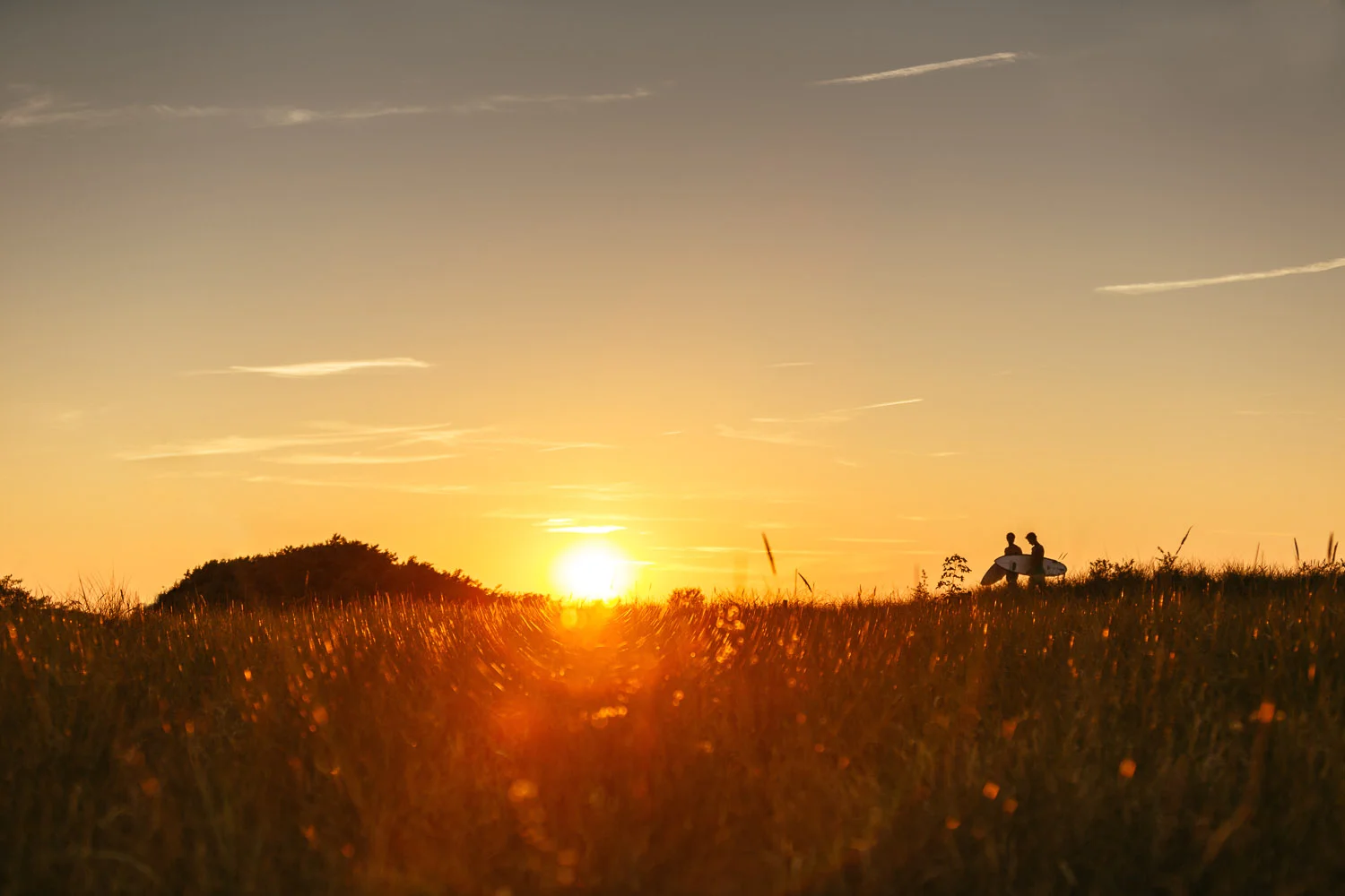 OR2A7500-retouched-20130905.jpg