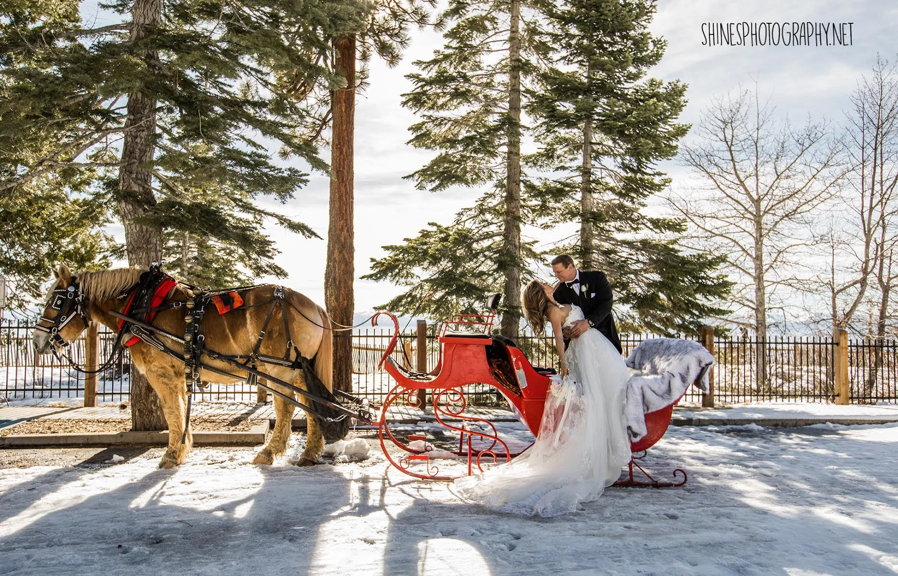 photo taken by Stephanie Hines with shinesphotography.net