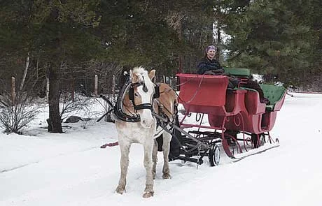 Sleigh RIdes at Sand Harbor State Park — Borges Sleigh and Carriage Rides