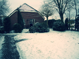 snow-2.jpg