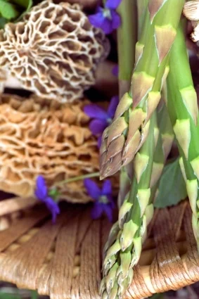 Asparagus&Morels.jpg