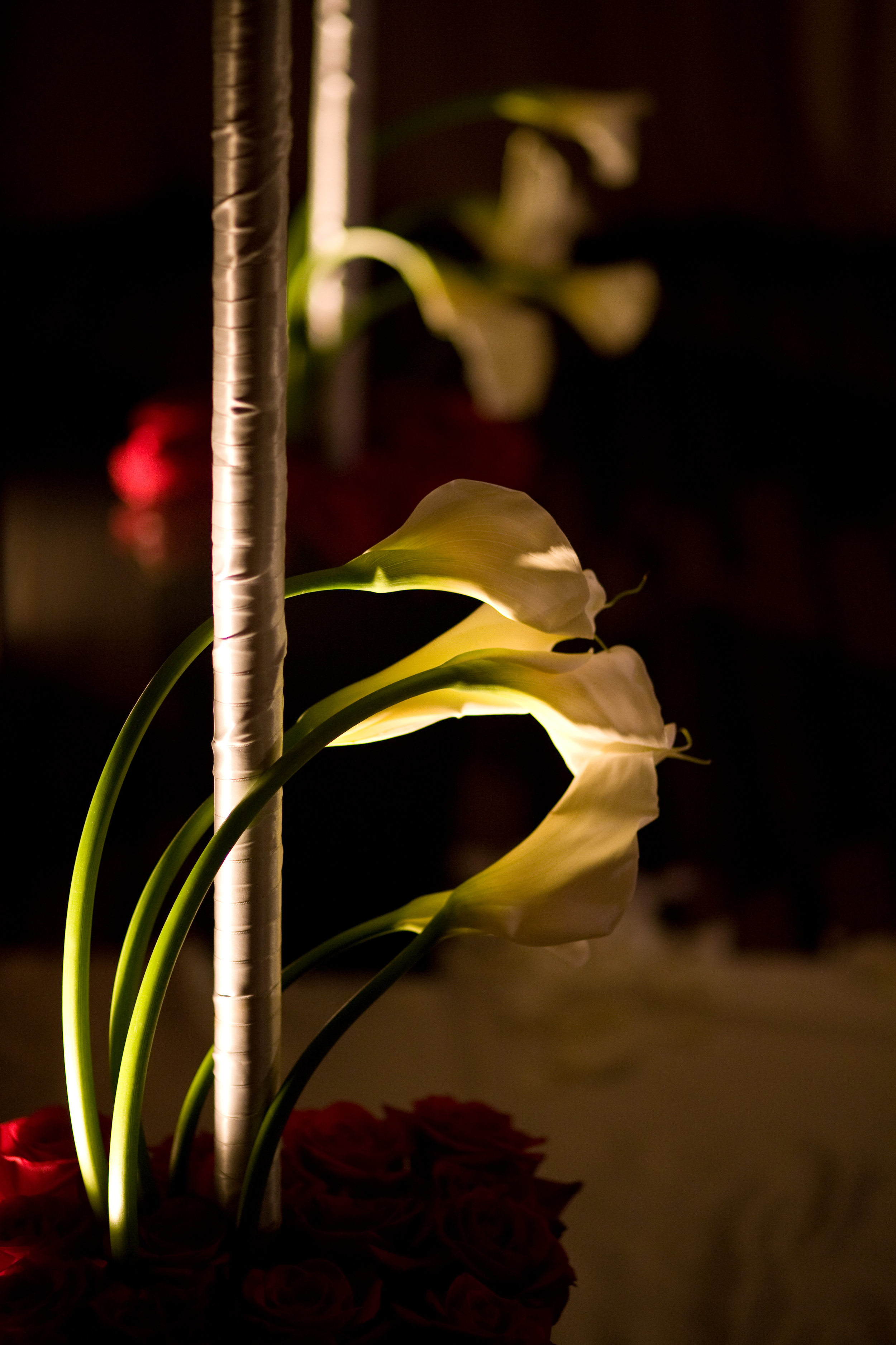 jb_1240.jpg