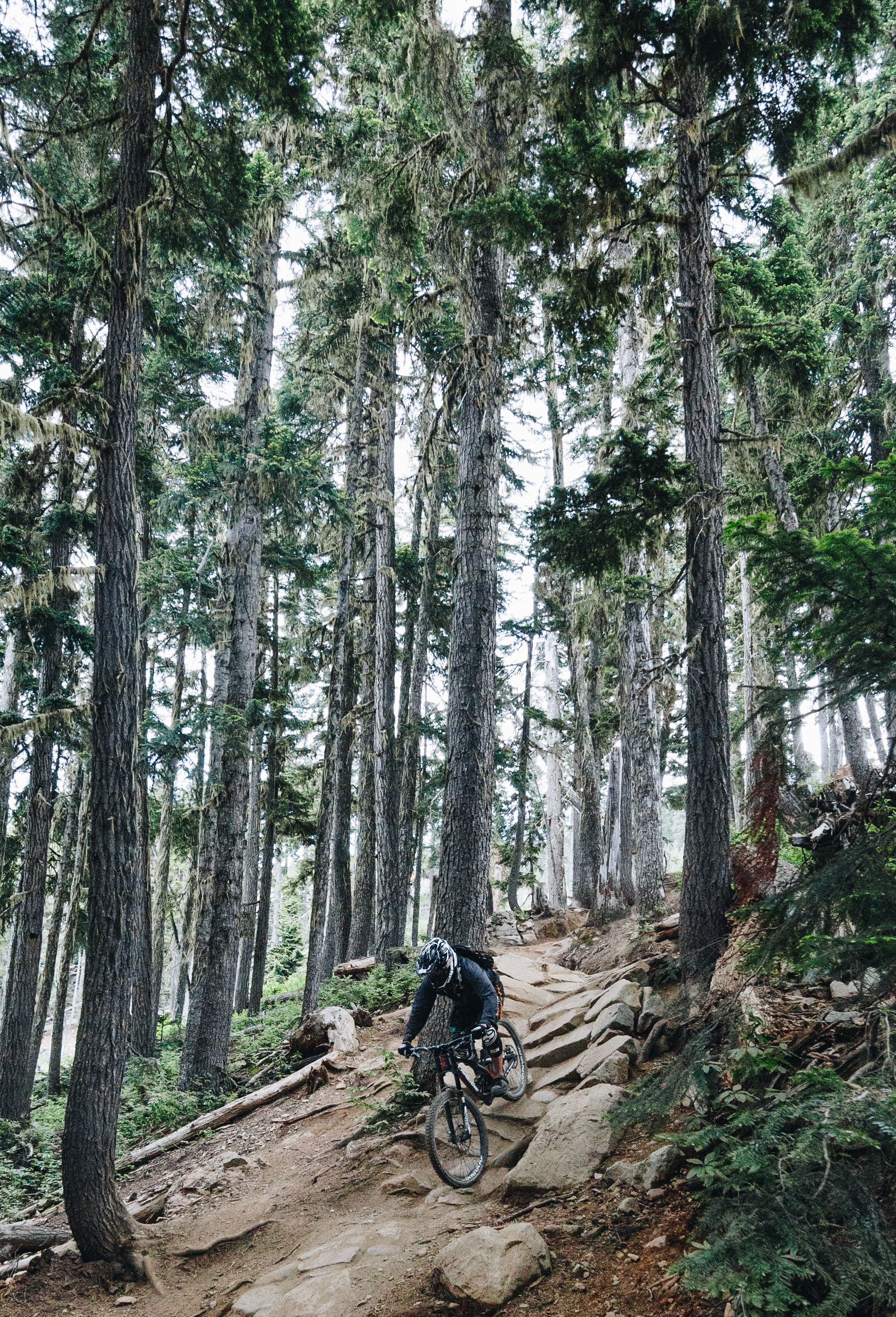 A nice, steep technical section . The photos don't show the speed at which riders navigate the terrain; it's insane.