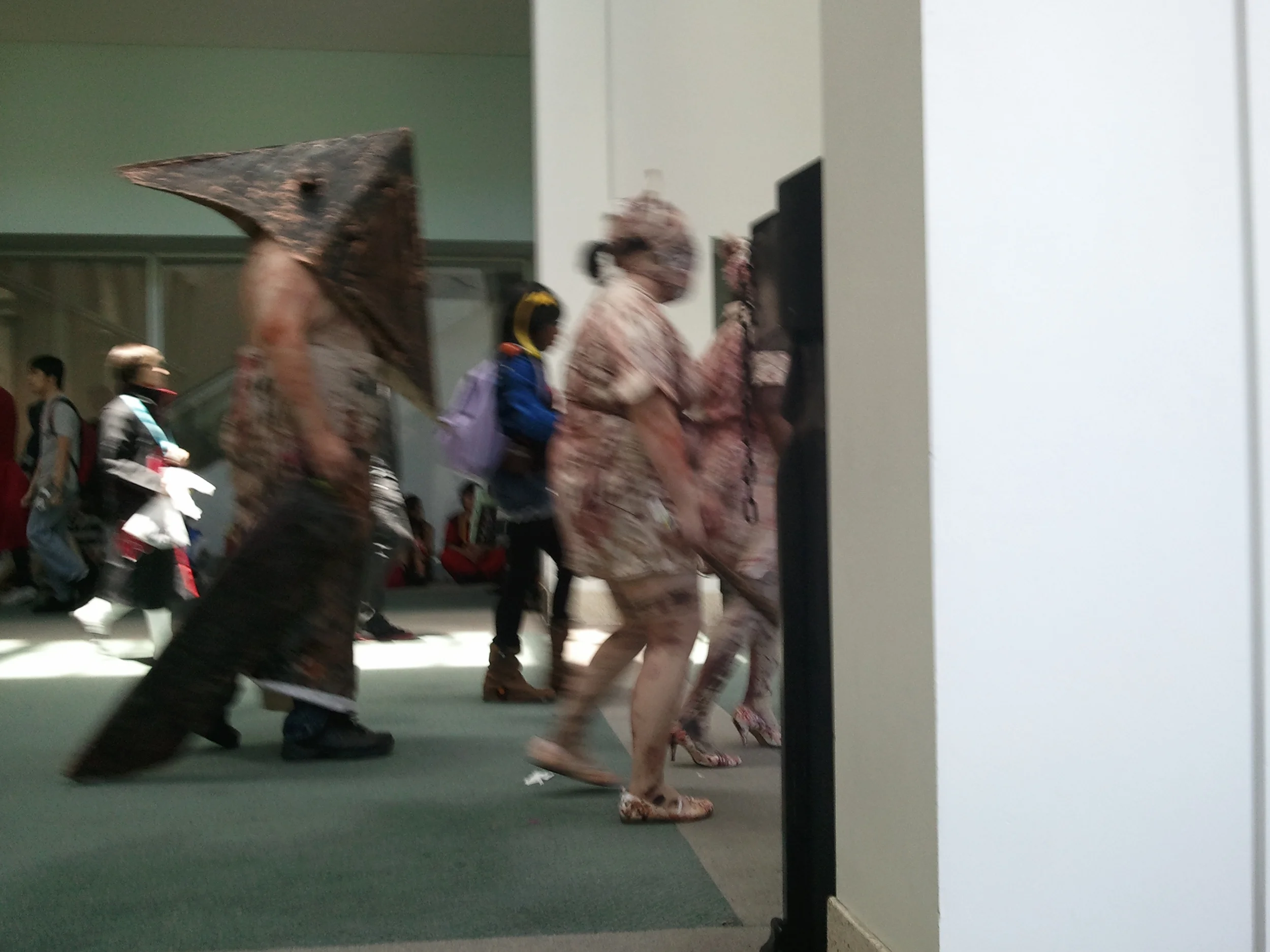Cosplayers Everywhere (1)