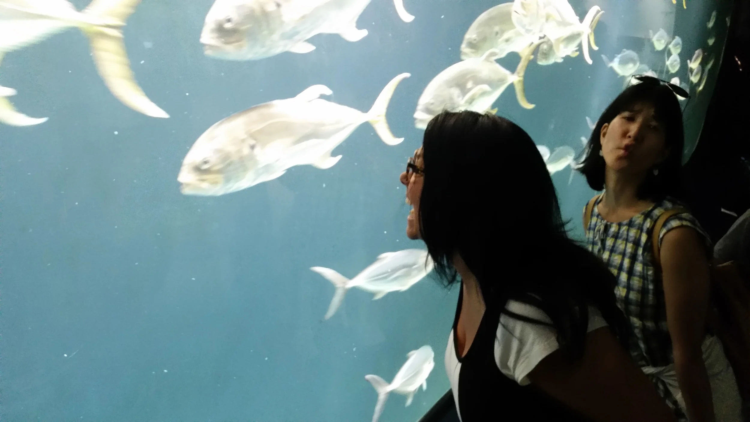 Great end of third day at DragonCon