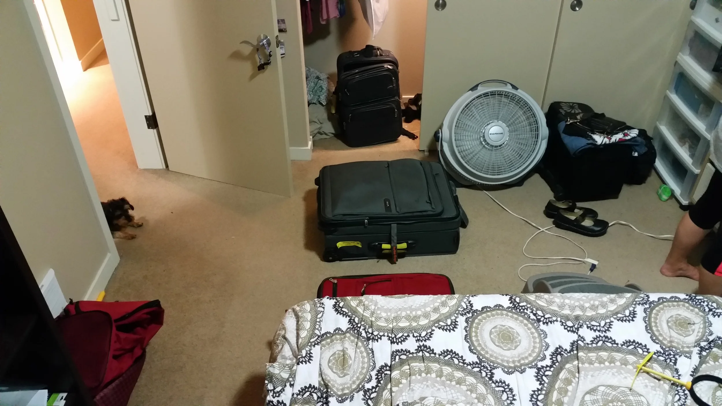 20140702_001636.jpg