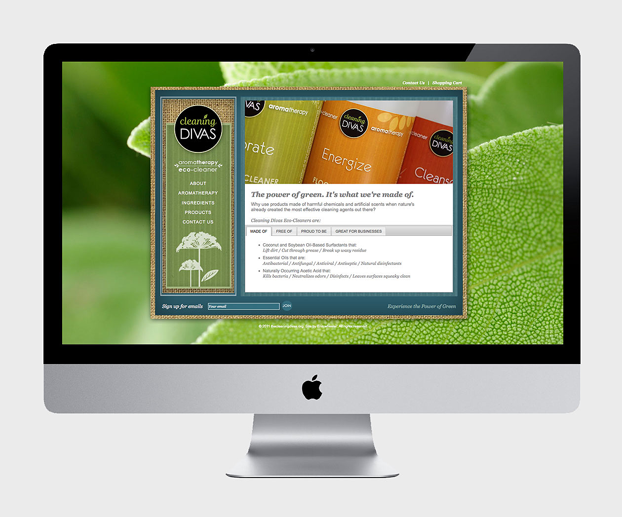CD_WEB_2.jpg
