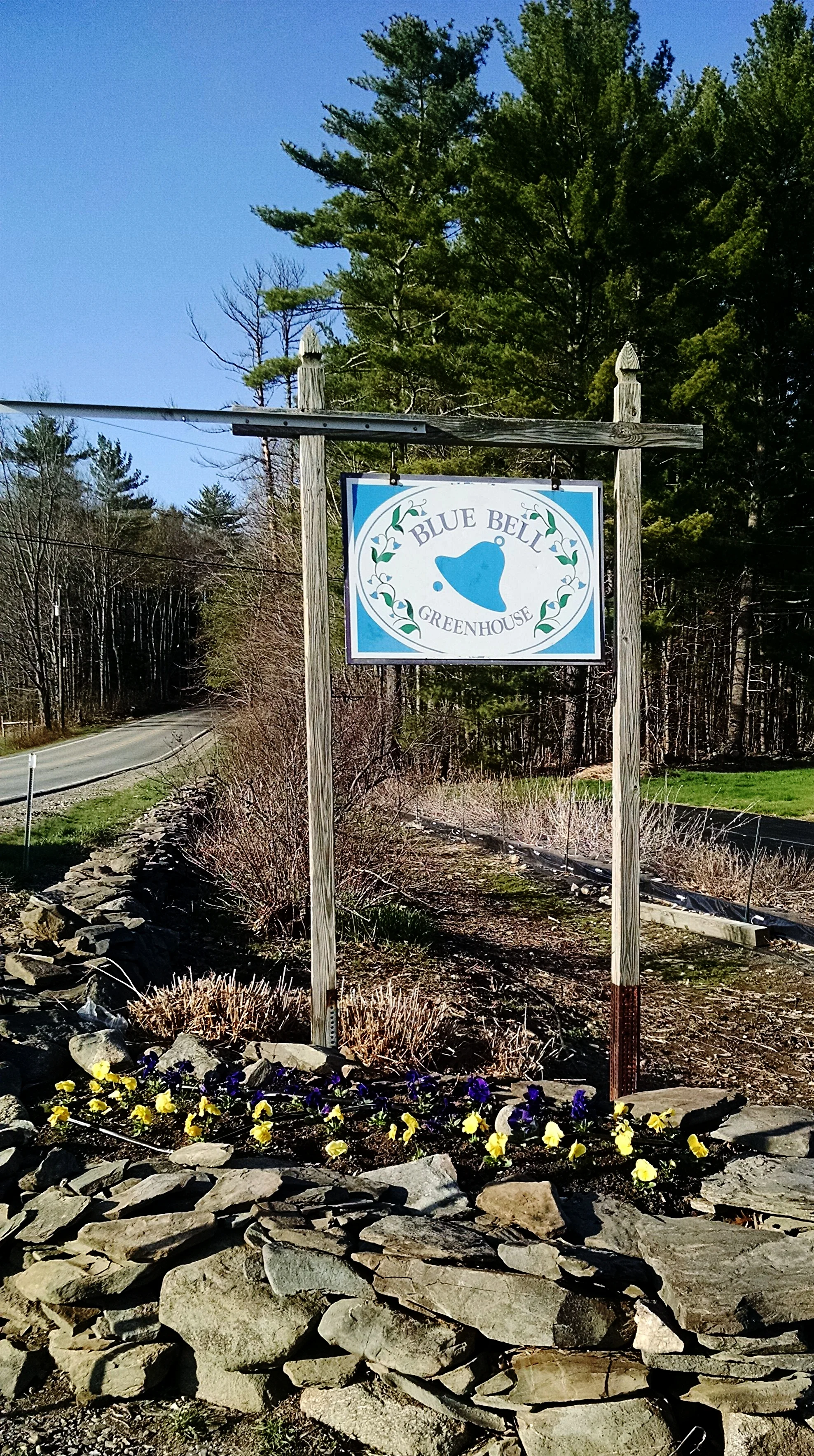 IMG_20170424_174216309.jpg