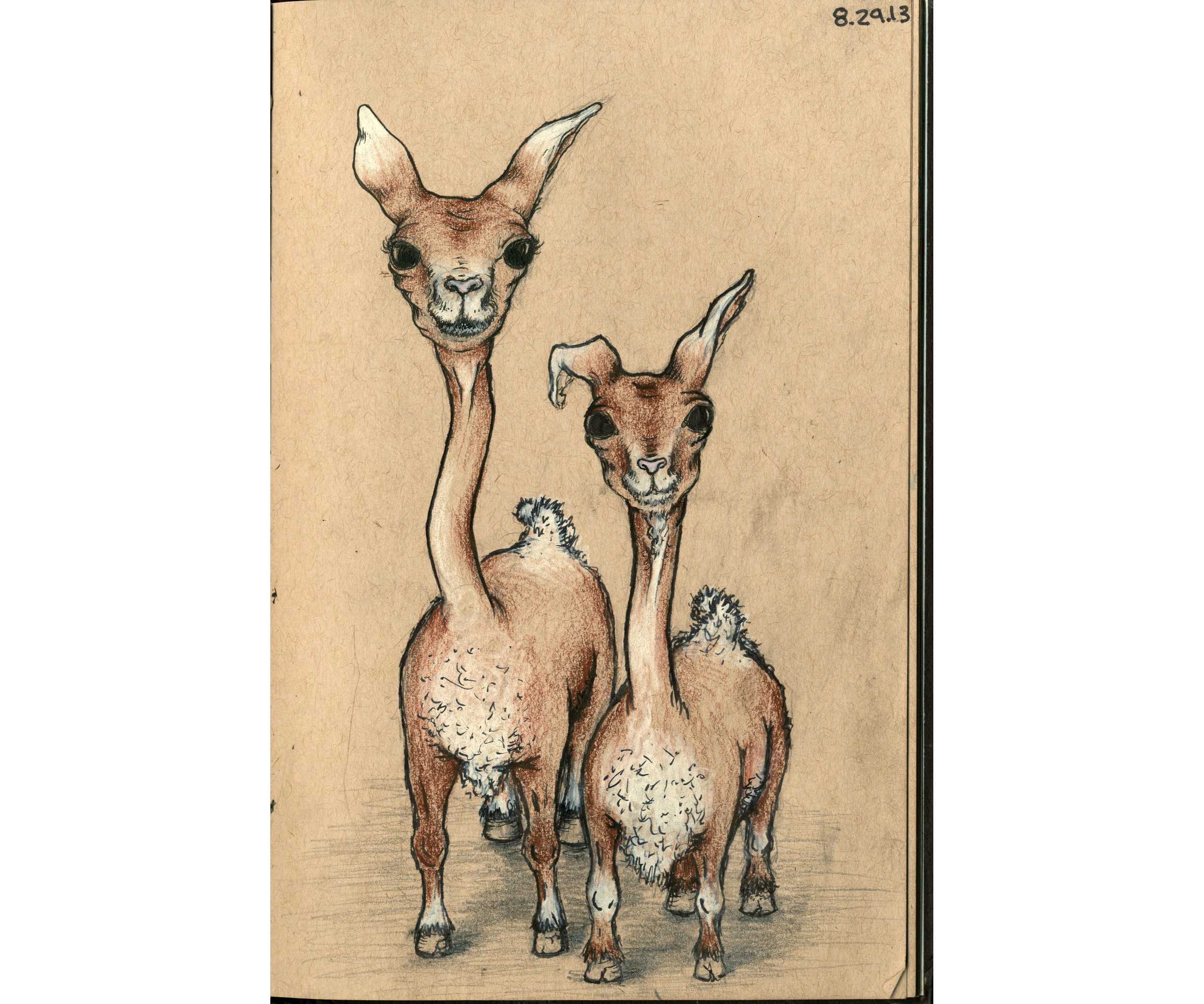 deers are weird sketch.jpg