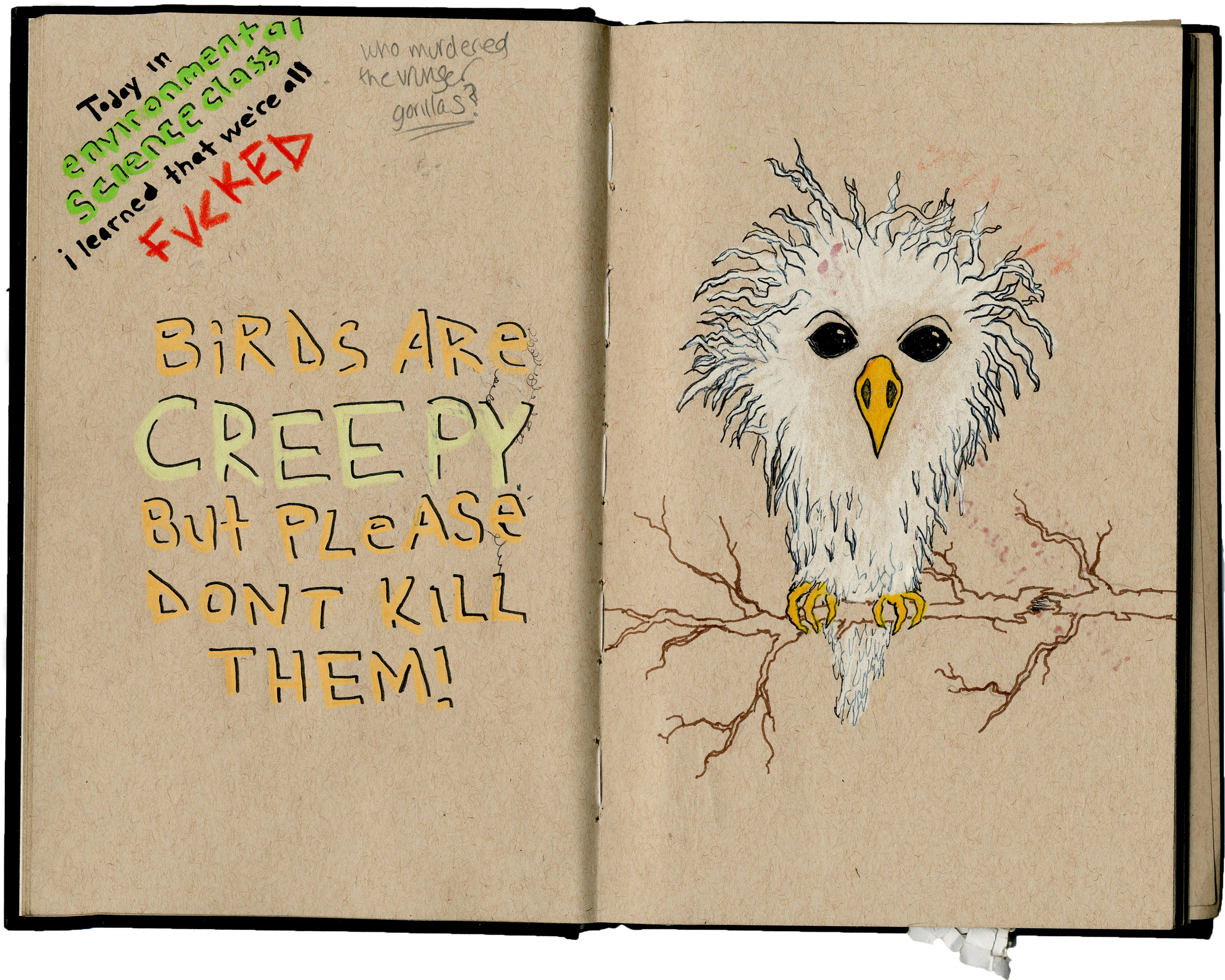 aaadgsd.sketchbook birds.jpg