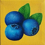 blueberry small.thumbnail 2.5x2.5.jpg