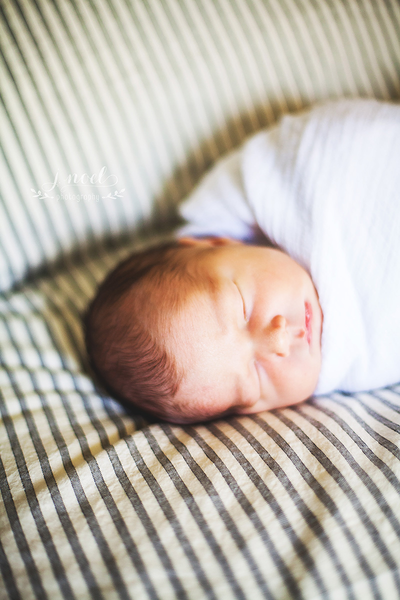 Baby+Stone-7136-1w.jpg