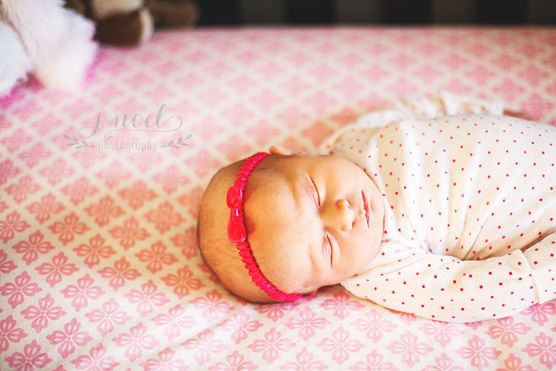 Caitlin+McDermott-5323-1w800.jpg
