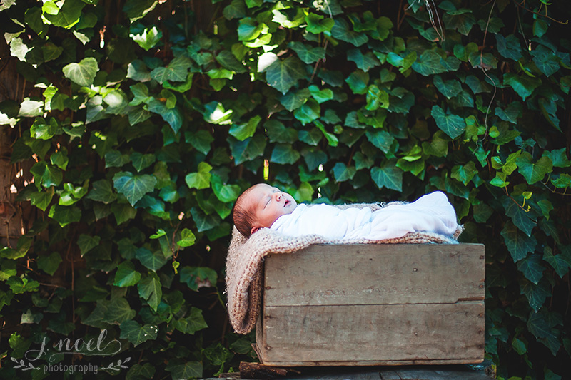 Baby+Stone-6969-1w.jpg