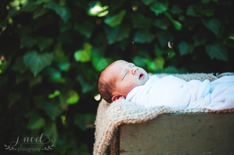 Baby+Stone-6956-1w.jpg