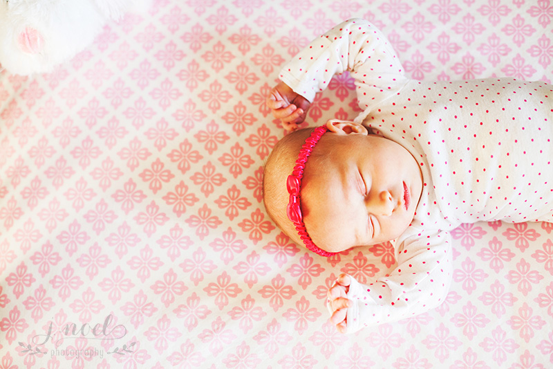 Caitlin+McDermott-5333-1w800.jpg