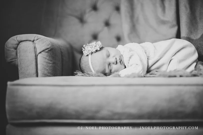 Coraline-5402-2.jpg