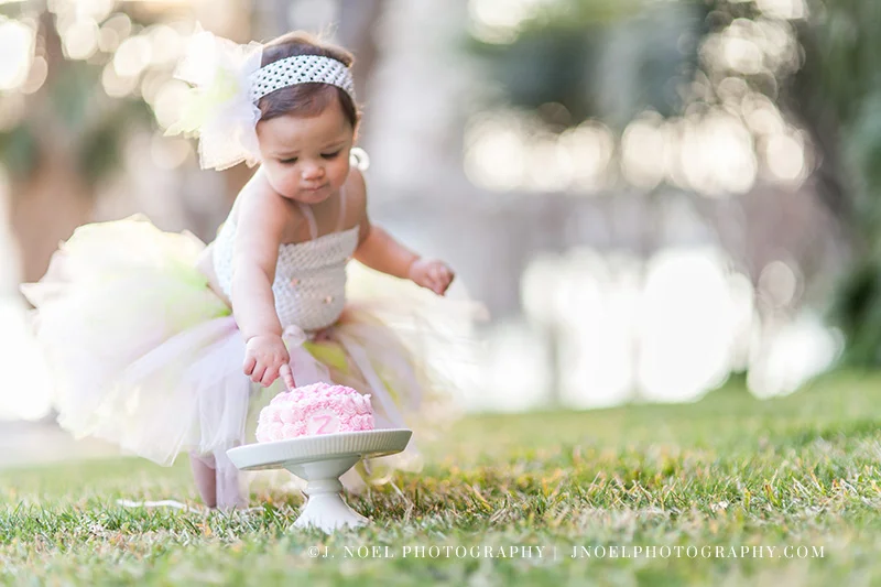 Austin Family Photographer 58.jpg