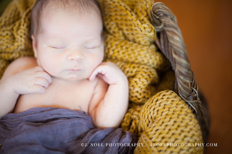 Austin lifestyle newborn photographer 42.jpg
