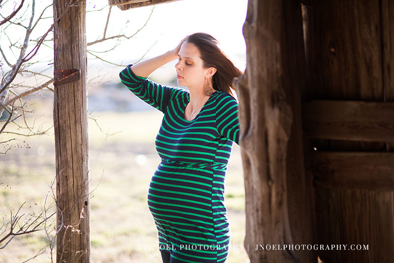 Austin Family Photographer 39.jpg