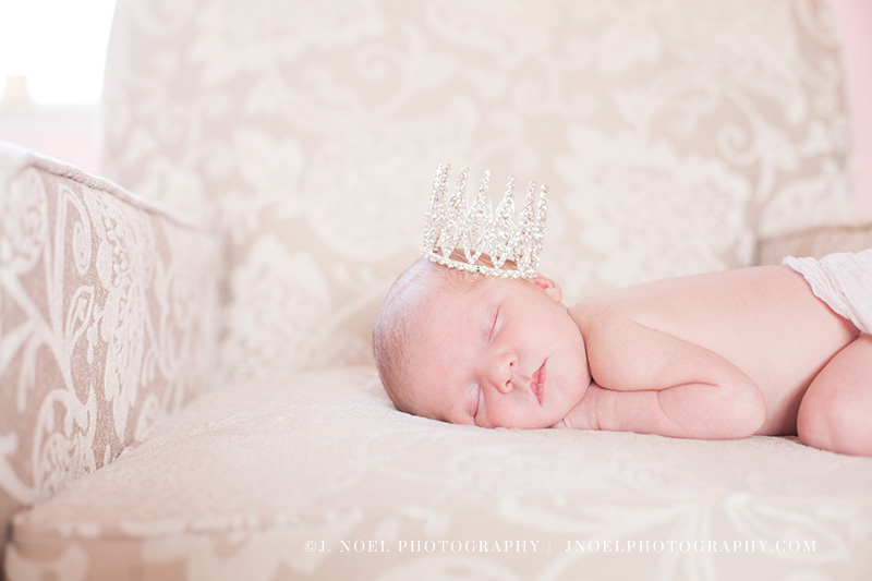 Austin Newborn Photographer 33.jpg