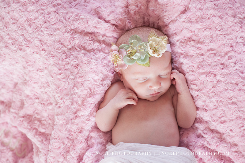 Austin Newborn Photographer 36.jpg