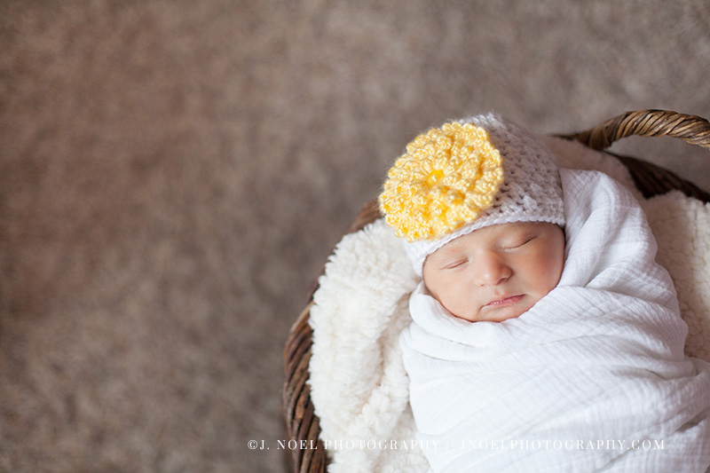 Austin Newborn Photographer14.jpg