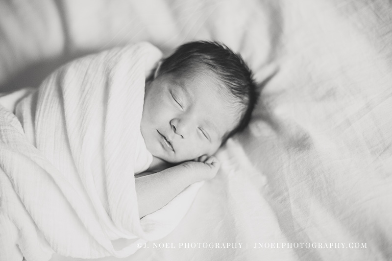Austin Newborn Photographer17.jpg