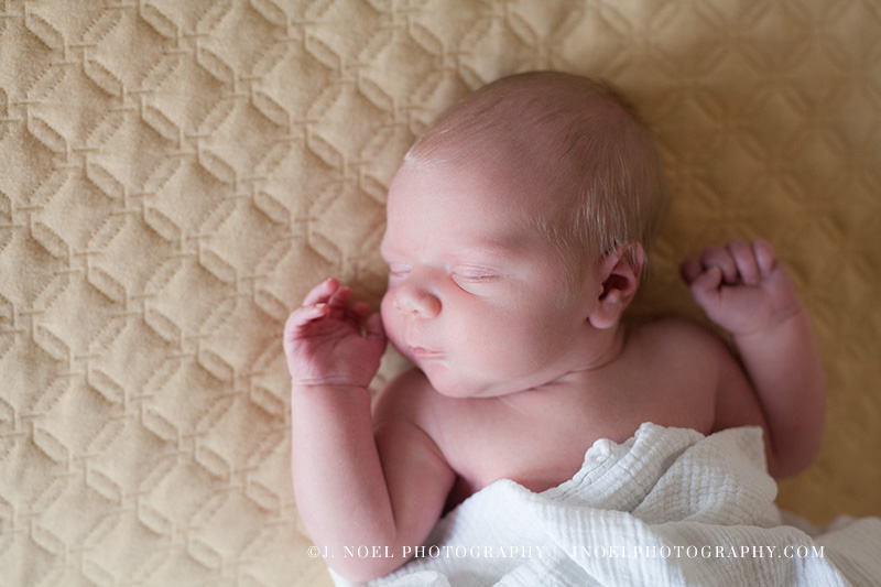 Austin lifestyle newborn photographer 5.jpg