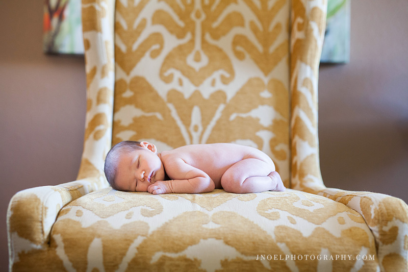 Austin Newborn Photography 8.jpg