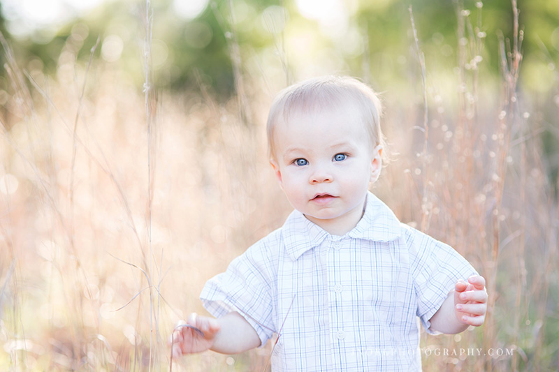 Austin Family Photographer 3.jpg