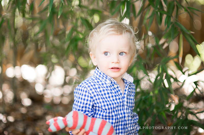 Austin TX Family Photographer 8.jpg