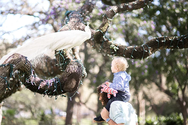 Austin TX Family Photographer 10.jpg