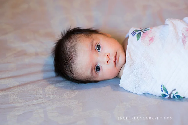 Austin Lifestyle Newborn Session1.jpg
