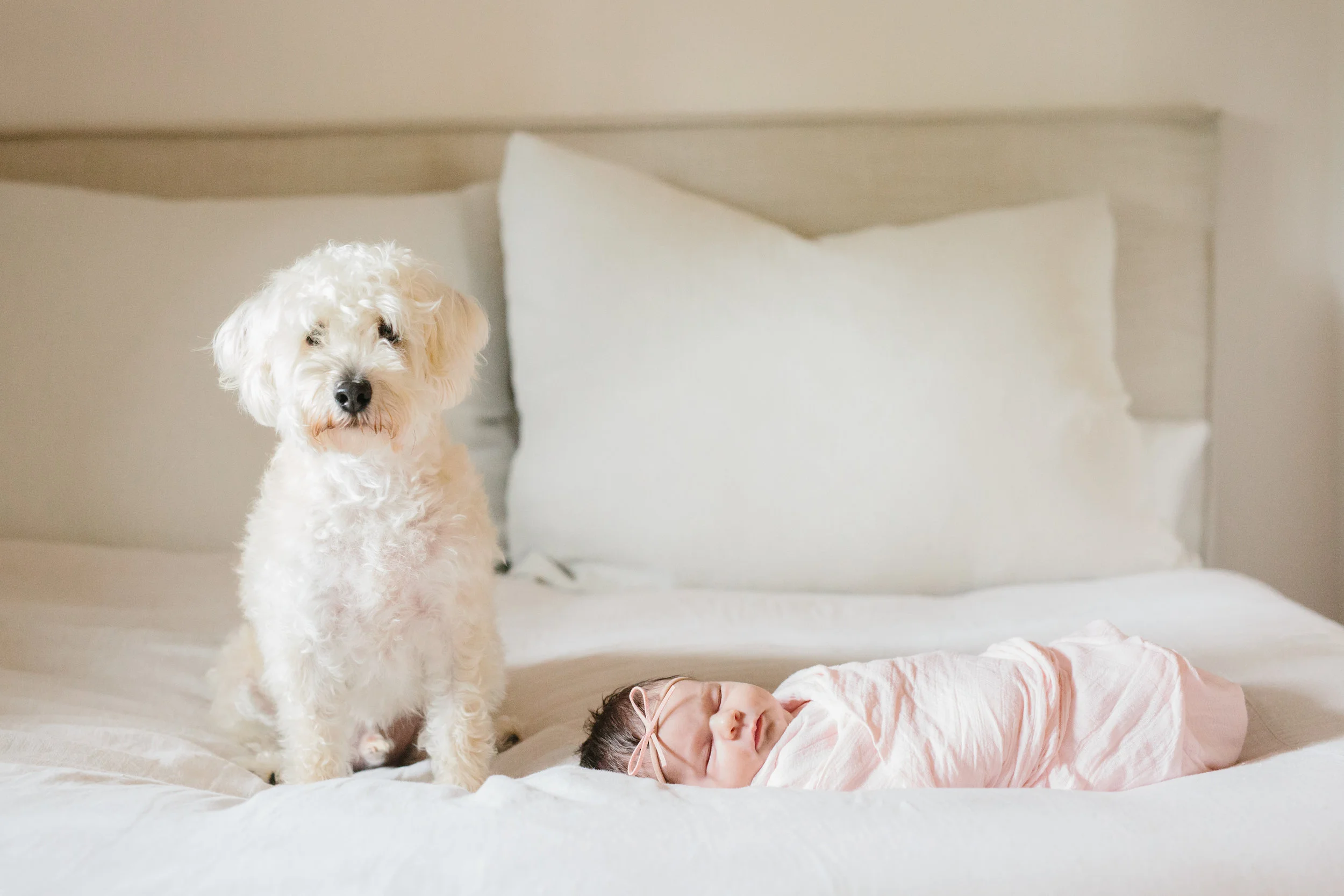 Callie ~ Austin TX newborn photographer