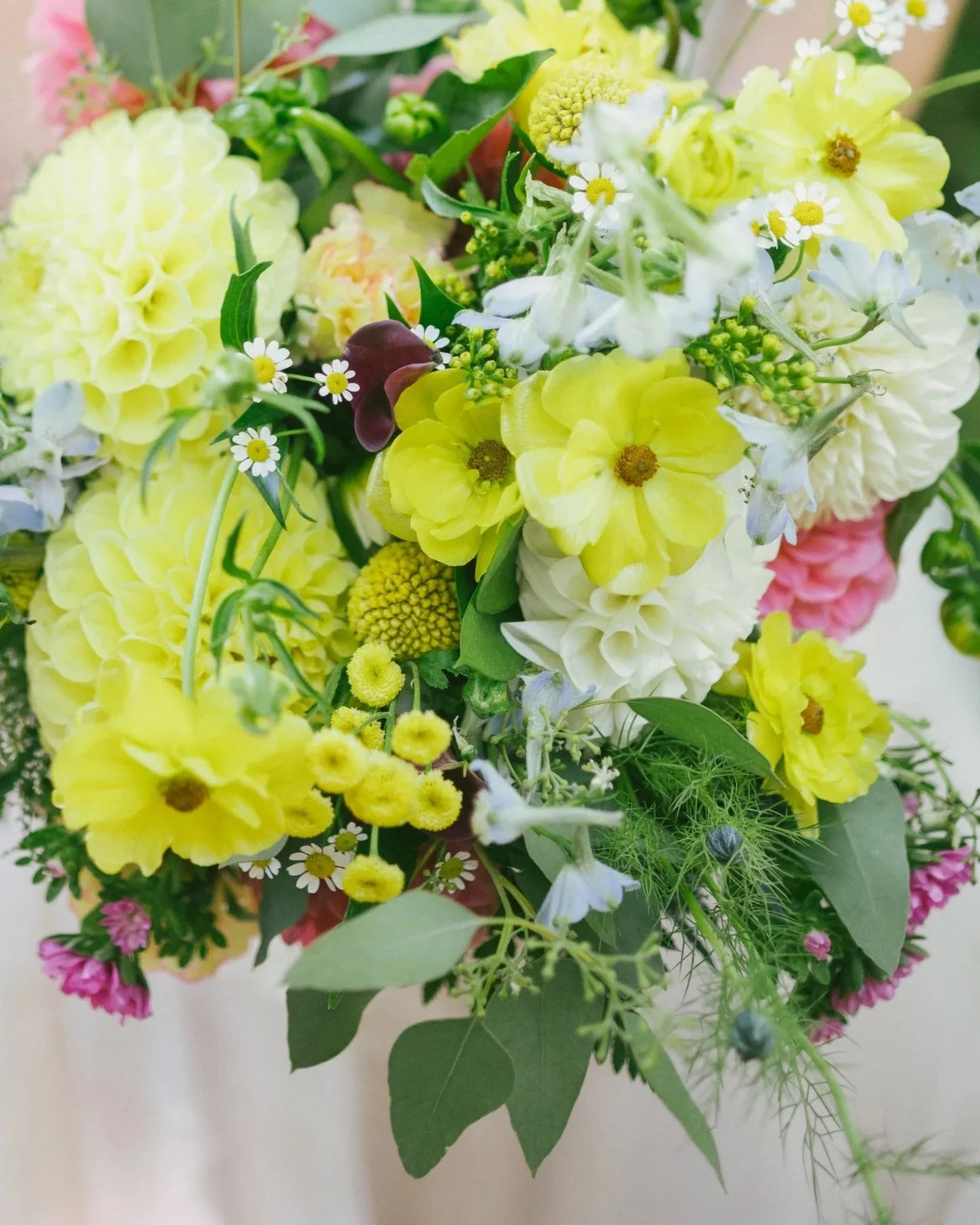 Pick me up (not available for delivery)