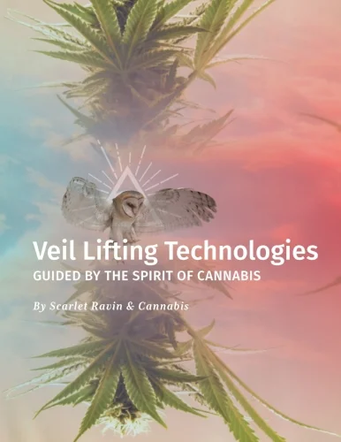 Veil Lifting Book Cover_Final.jpg