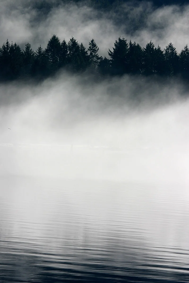 morning fog, Tahsis Inlet, Vancouver Island