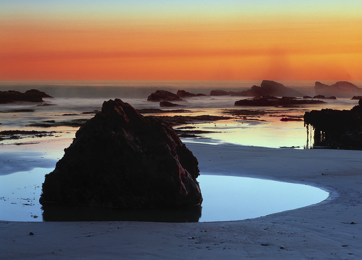 tidepools, Waddell Creek