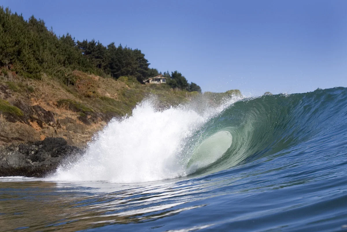 Buchupureo barrel