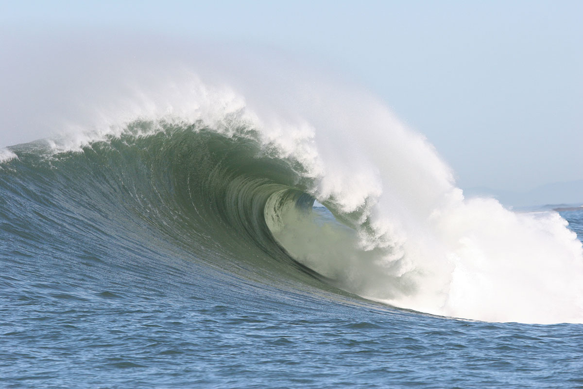 empty Mavericks beast