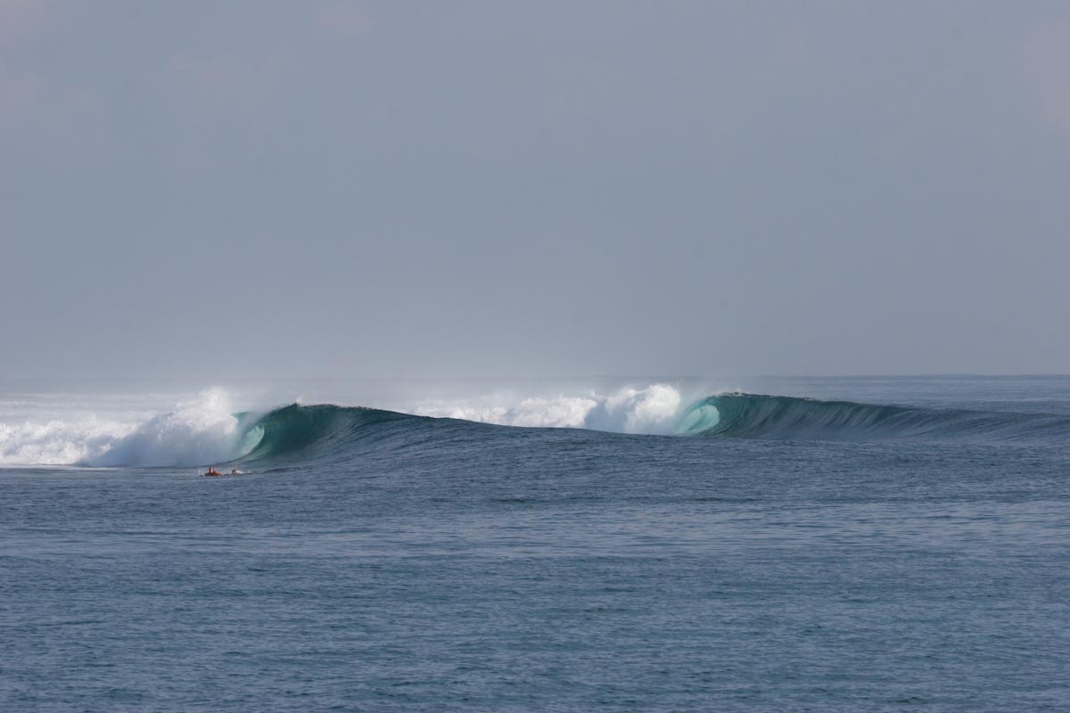 NoKandui line-up